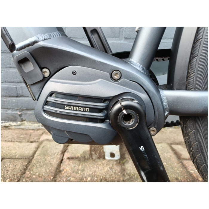 Pegasus Opera Grijs Heren-58 cm - Afbeelding 4